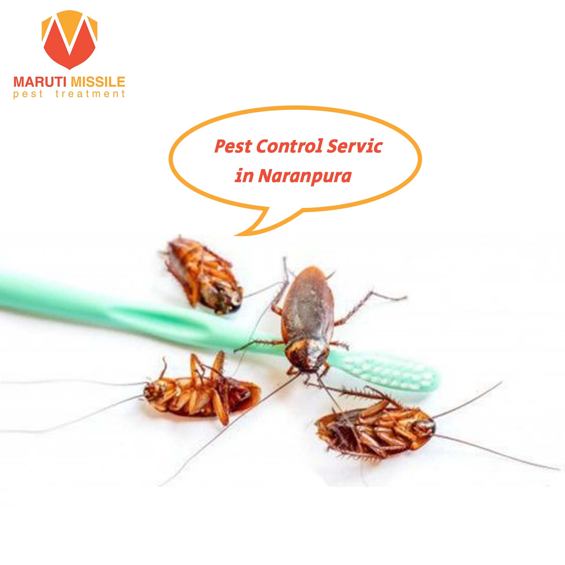 Pest Control Service in Naranpura